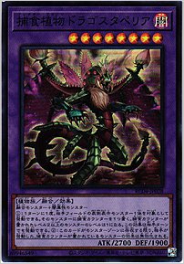 捕食植物ドラゴスタペリア