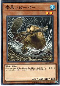 素早いビーバー