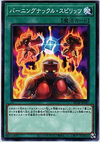 バーニングナックル・スピリッツ