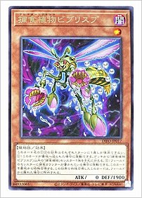 捕食植物ビブリスプ