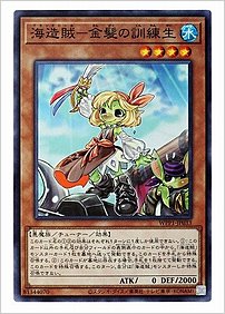 海造賊ー金髪の訓練生