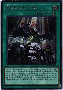 禁じられた一滴