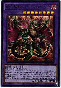 捕食植物ドラゴスタペリア