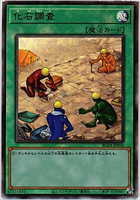 化石調査