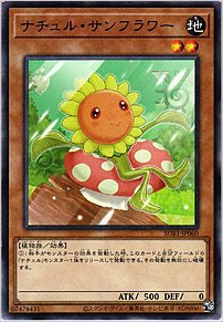 ナチュル・サンフラワー