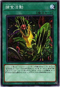 捕食活動