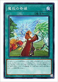 魔救の奇縁