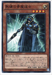 熟練の青魔道士
