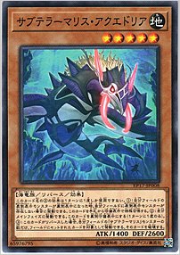 サブテラーマリス・アクエドリア