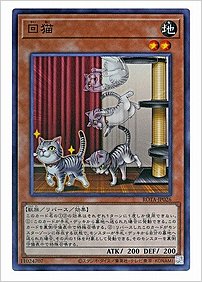 回猫