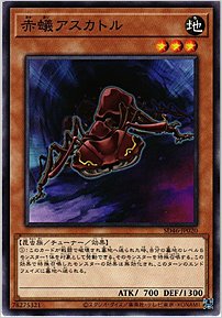 赤蟻アスカトル