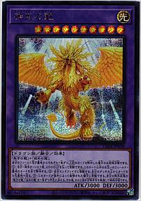 神光の龍