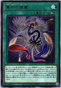 黒羽の旋風