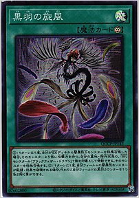黒羽の旋風