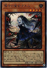 導きの聖女クエム