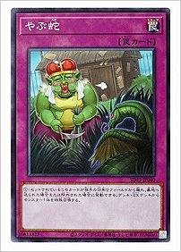 やぶ蛇