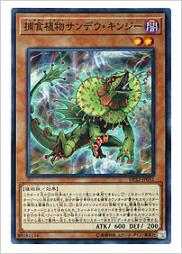 捕食植物サンデウ・キンジー