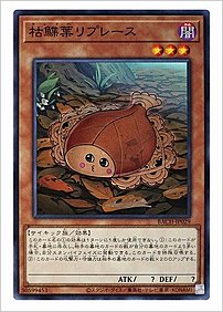 枯鰈葉リプレース