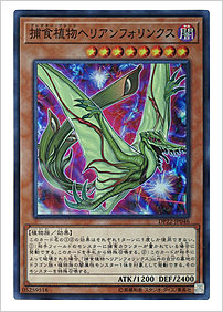 捕食植物ヘリアンフォリンクス