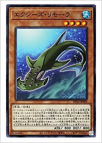 エクシーズ・リモーラ