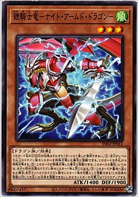鎧騎士竜－ナイト・アームド・ドラゴン－
