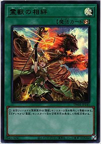 霊獣の相絆