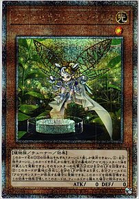 アロマセラフィ－アンゼリカ