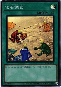 化石調査