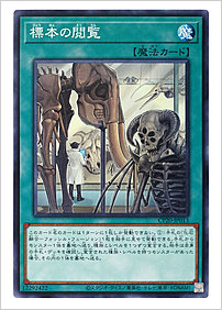 標本の閲覧