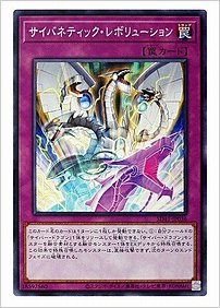 サイバネティック・レボリューション