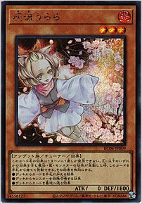 灰流うらら