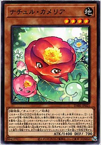 ナチュル・カメリア