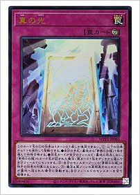 真の光