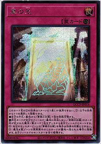 真の光