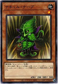 ナチュル・ナーブ