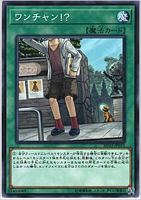 ワンチャン！？