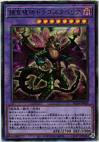 捕食植物ドラゴスタペリア