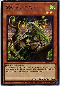 霊獣使いの長老