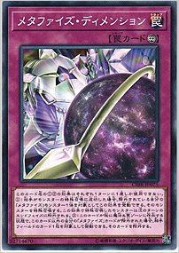 メタファイズ・ディメンション