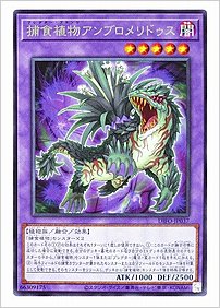 捕食植物アンブロメリドゥス