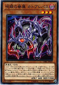 呪眼の眷属 カトブレパス