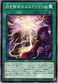 白き宿命のエルドリクシル
