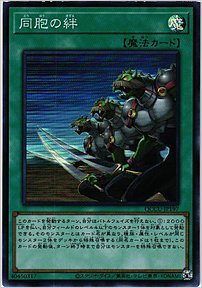 同胞の絆