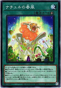 ナチュルの春風