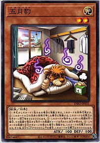 五月豹