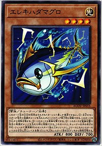 エレキハダマグロ
