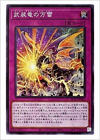 武装竜の万雷