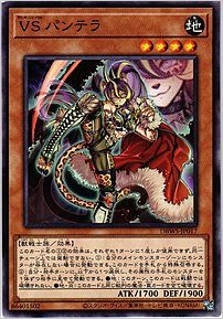 ＶＳ パンテラ