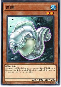 白うつぼ